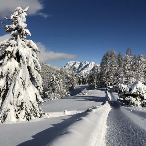 Hotel Seefeld-lodge