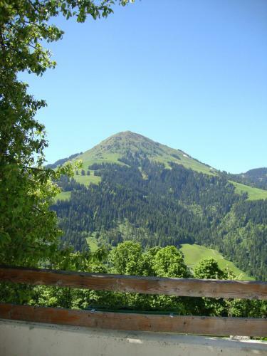 Hostal Alpengasthof Gruberhof