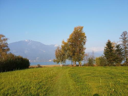 Apartamento Fumerhof