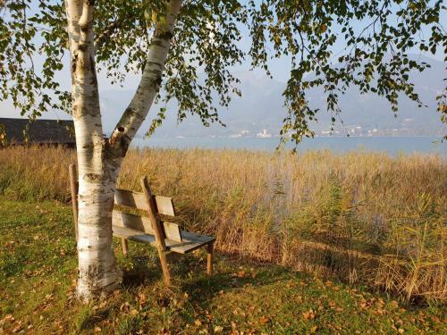 Apartamento Fumerhof