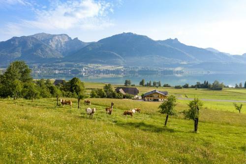 Apartamento Fumerhof
