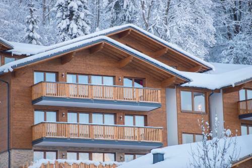 Chalet Dorf Wagrain Alpenleben