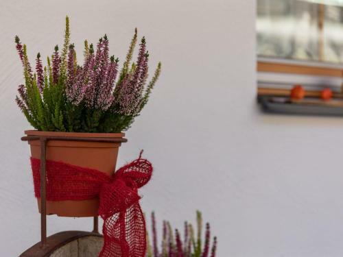Apartamento Salzach Appartement Wald