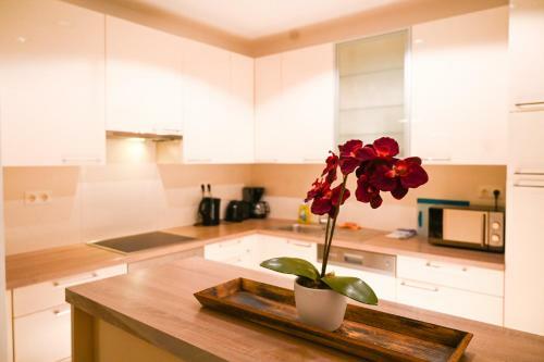 Apartamento Modern Suite Ankeruhr