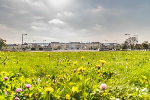 Apartamento Micro Loft Sch�nbrunn By Welcome2vienna