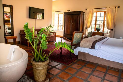 Hostal Terra Casa Guesthouse