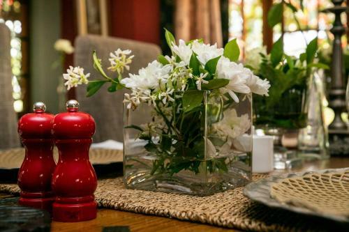 Hostal Terra Casa Guesthouse