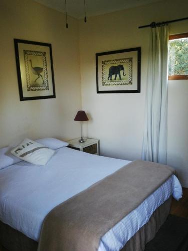 Albergue Rocky Road Backpackers