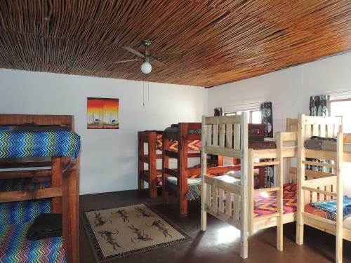 African Array Lodge