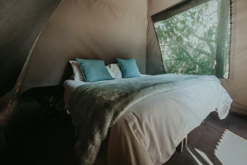 Albergue Tsitsikamma Backpackers