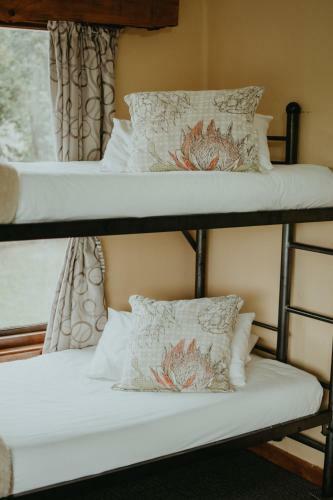 Albergue Tsitsikamma Backpackers