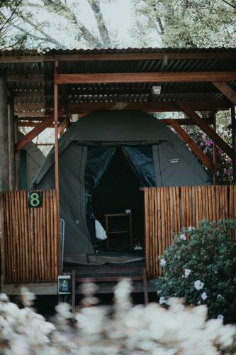 Albergue Tsitsikamma Backpackers