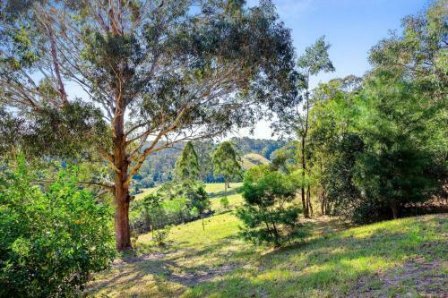 Braeside Cabin Three - Parsonsia