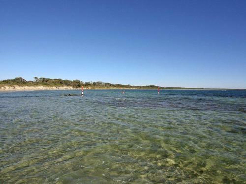 The Marlin - A Gem Close To Rock Pools