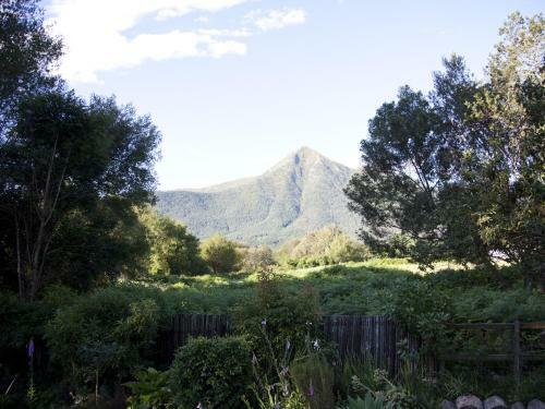 Bed & Breakfast Andelomi Forest Lodge
