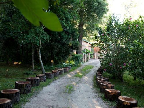 Bed & Breakfast Andelomi Forest Lodge
