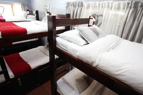 Albergue Tube 'n Axe Backpackers