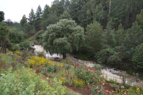 The Falls Cottages
