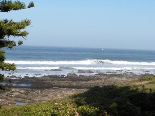 Hostal Sea Otters Lodge