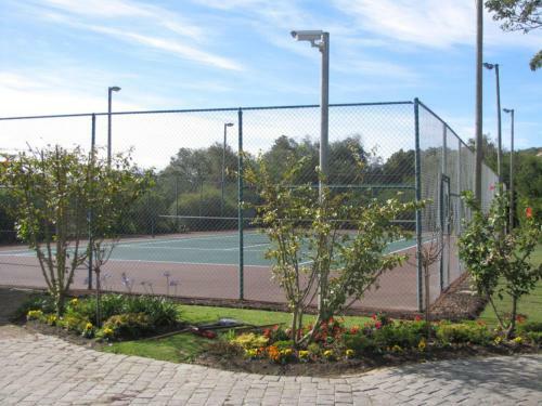 4t6 Strandmeer