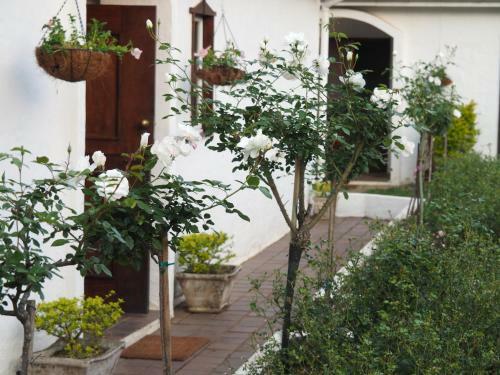 Caladdi Bed And Breakfast