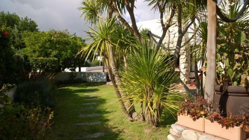 Hostal Baviana Beach Lodge