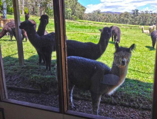 Agroturismo Valley Farm Vineyard Villas