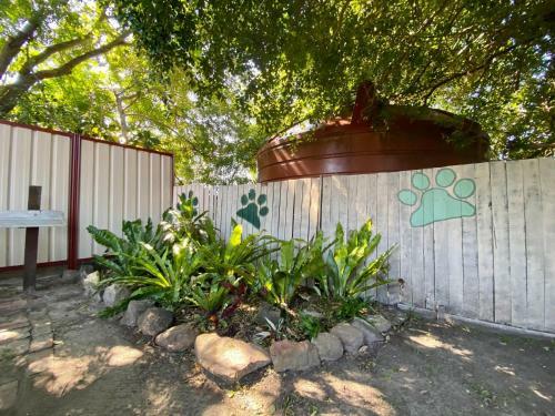 Bromeliads Unit 2 7 Ballanda Crescent