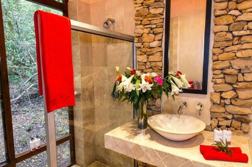 Bed & Breakfast Trogon House And Forest Spa