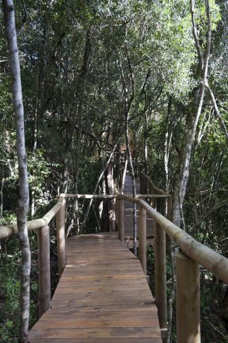 Bed & Breakfast Trogon House And Forest Spa