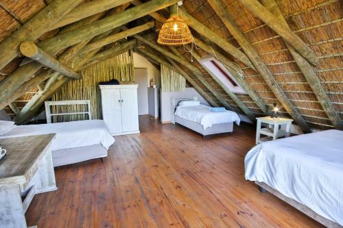 Bed & Breakfast Oyster Bay Beach Lodge