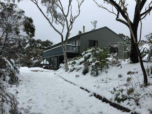 Treetops Retreat Katoomba