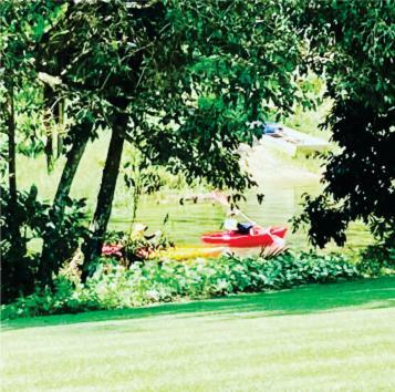 Bed & Breakfast Paradise Eco B & B