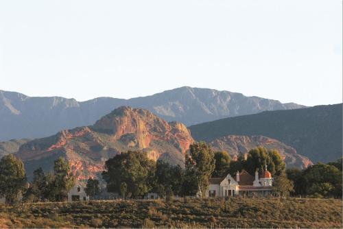 Bed & Breakfast Rietfontein Ostrich Palace