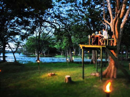 Hotel Cinnamon Lodge Habarana