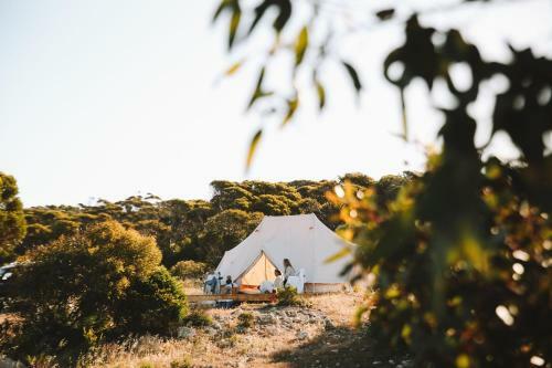 Glamping At September Beach, Lincoln National Park
