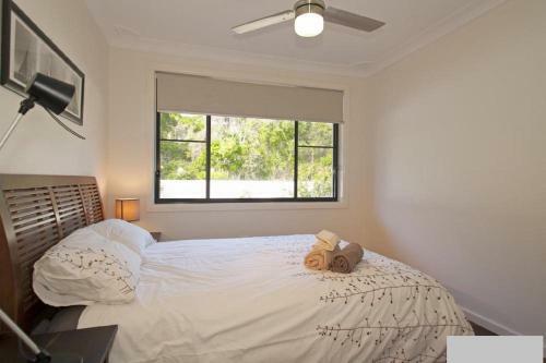 Hibiscus House - Sawtell, Nsw