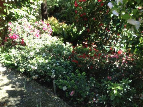 Hostal Adelaide Hills B&B Accommodation