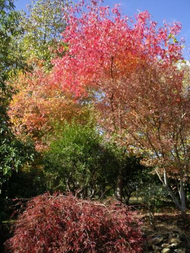 Hostal Adelaide Hills B&B Accommodation
