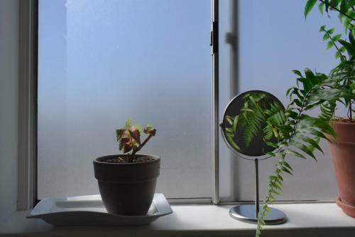 Stylish Modern Apartment In Marrickville