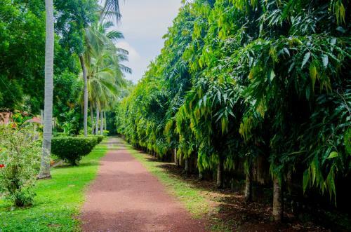 Tamarind Tree Hotel