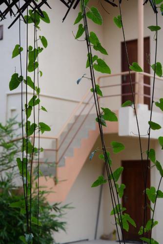 Hostal Hotel Thilon