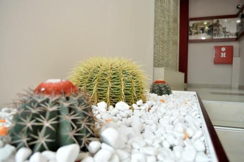 Hotel 018 In