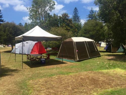 Basin Ku-ring-gai Campsite Set Up