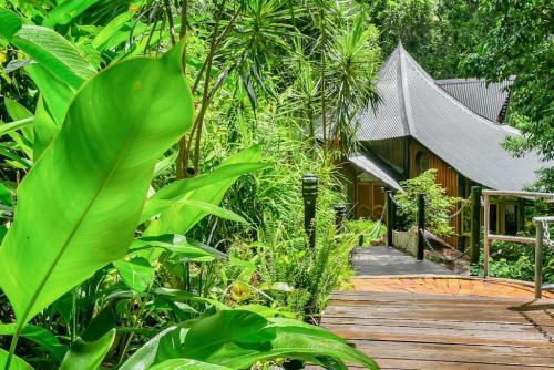 The Secret Treehouse