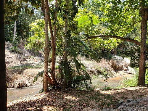 Apartamento Rainforest Retreat