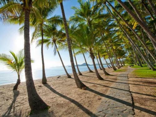 Seanna - Palm Cove