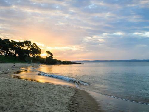 Seaside Splendour