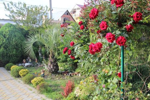 Hostal Guest House Planet Mov