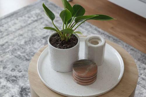 Heart Of Ormond Apartment By Ready Set Host